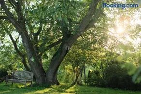 Sonnenhügel - Image 1