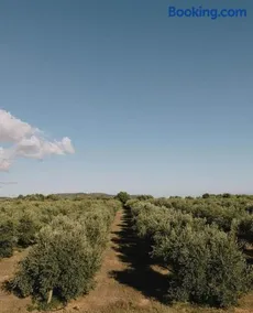INTìO - Image 5