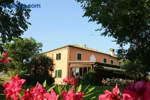 Agri Divin Amore - Image 2
