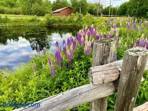 FOUR Nature Resort - Image 4
