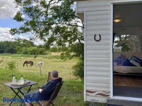 tiny house an der Pferdekoppel - Image 1