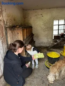 Agroturystyka Porbady - Image 1