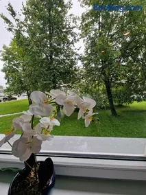 Trumpalaikė butų nuoma Kaune prie Klinikų STUDIJA B SELF CHECK IN - Image 2