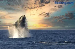 Best Ocean and Mountain View! - Image 4