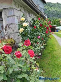 Locazione breve LE ROSE - Image 3