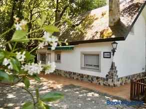 Casa Pepe Albela - 20 min de Santiago - Image 4