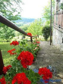 Casa dei Ciliegi - Image 2
