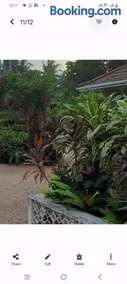 Srilal's Guest House - Image 5