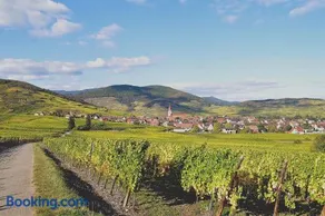 Gite du Vignoble - Image 4