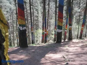 Andramari Tourist Home Parking& wifi - Image 5