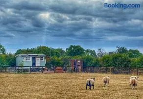 The Meadows Hut - Image 1