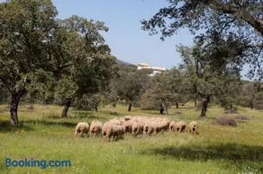 Cortijo Los Lomillos - La Encina - Image 5