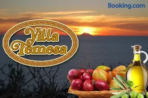 Villa Temesa - Image 1