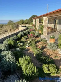 Stonevillas and Seaview Garden Marion - Image 2