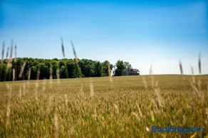 Luxury farm Stay, Alexandria - Image 3