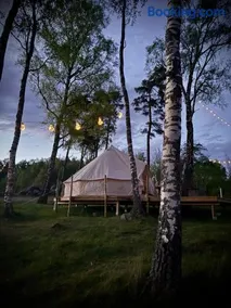 Glamping med alpackor - Image 2