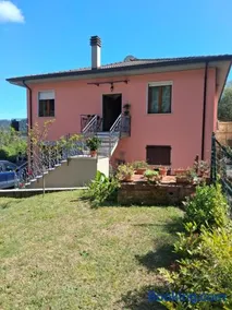 Zio Mari - Image 1