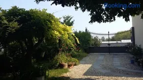 Il Germano Reale - Image 2