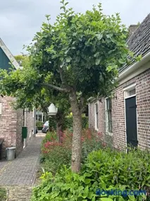 Loft - Stadsplekje - Image 3