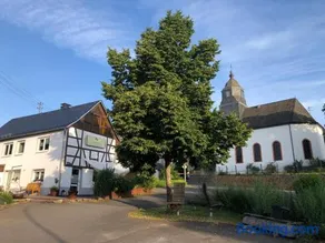 Waldmomente - Image 3