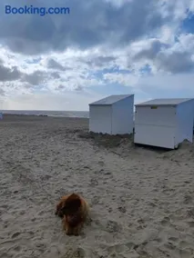 Casino Beach - Image 3