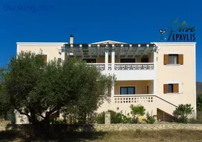 Olive Epavlis - Image 2