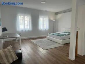 Grosse Einzimmerwohnung/Büro/Showroom - Image 2