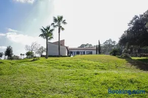 Son Paparra - Image 1