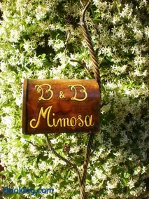 Bed and Breakfast Mimosa - Image 1