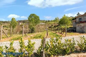 Charmante maison de vacances entièrement équipée avec barbecue, piscine et terrasse | Vue piscine | Avec animaux acceptés - Image 4