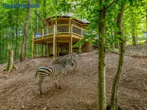 Zootastic Retreat Private Hot Tub Zoo Access - Image 1