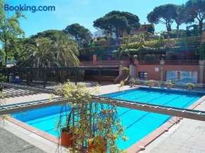 Palmera - Image 2