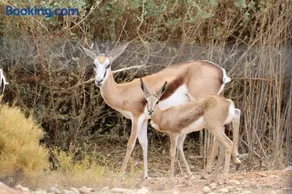 Grysbok Self Catering Accommodation - Image 3