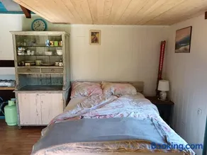 Forest Cabin Black Stream - Wilderness Experience - Image 3