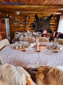 Cabana Bradului - Image 3