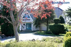 Pension Landhaus Teichgraf - Image 1