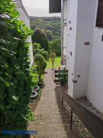 Kohlwies - Image 2