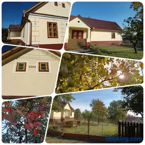Póni Kuckó Vendégház és Minifarm - Image 2