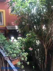Appartamento Fiordaliso - Image 3