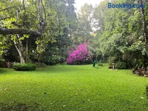 Casa Naranja Xicotepec - Image 2