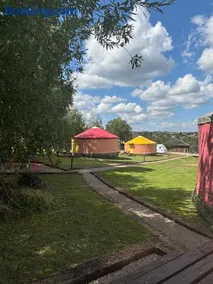 Brzozowy Zagajnik - Image 1
