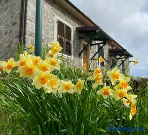 Colle del Faggio Nature Home - Image 1