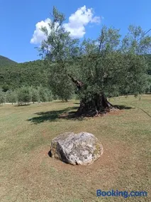 Villa Valle Tassignana - Image 3