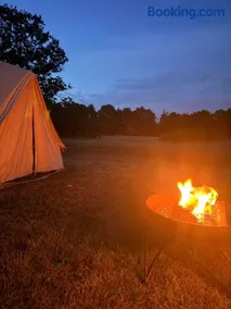 Glamping Fit in the wild - Image 4