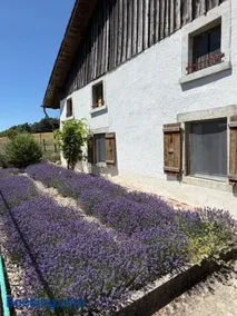 la ferme de la gaby - Image 1