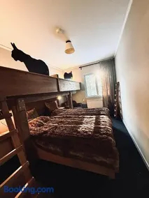 Hotelletvidfjallet - Image 2