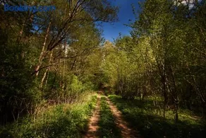 Siedlisko pod dębem Kalnik - Image 5