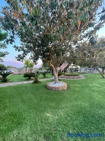 Mama’s Sunshine Garden Villa - Image 3