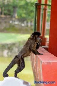 Parque Pousada Macaquinho Turismo - Image 3