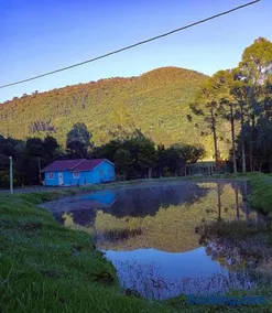 Casa de Campo Nó de Pinho - Image 5